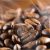 Fresh Roasted Coffee